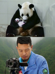 Wolong Panda Club