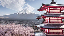 7 conseils sur le Japon et les cerisiers en fleurs