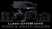 معرض الفيديو والصور لسلسلة LUMIX GH