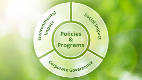 Policy e programmi