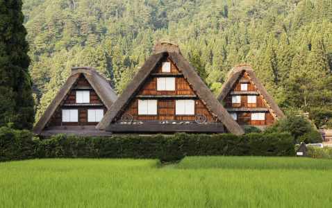 Shirakawa-go - Ghé thăm cảnh đẹp hoang sơ của ngôi làng nằm trong vùng núi hẻo lánh Nhật Bản