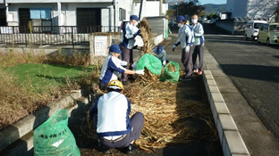 Cleanup activities around the factory