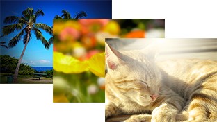 التحكم الإبداعي