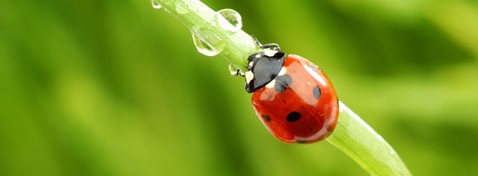 الغالق الإلكتروني 1/16000