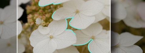 التركيز البؤري فائق الدقة