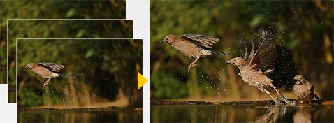 تركيب التسلسل في وضع 4K PHOTO
