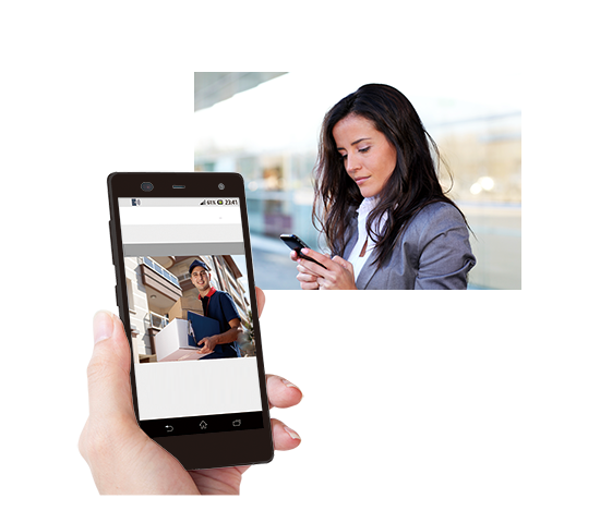 الإعلام بالبريد الإلكتروني *