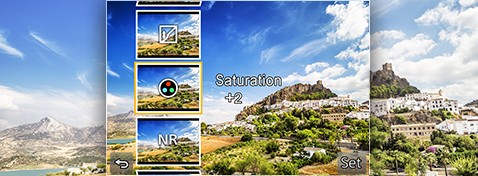 RAW Data Development in Camera