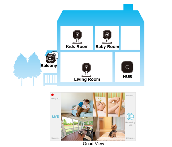 Quad-View on Smartphone or Tablet
