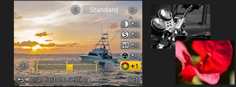 RAW Data Development in Camera