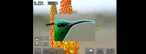 Aide à la mise au point (Focus Peaking)