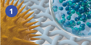 nanoe™ X mencapai serbuk sari dengan andal.