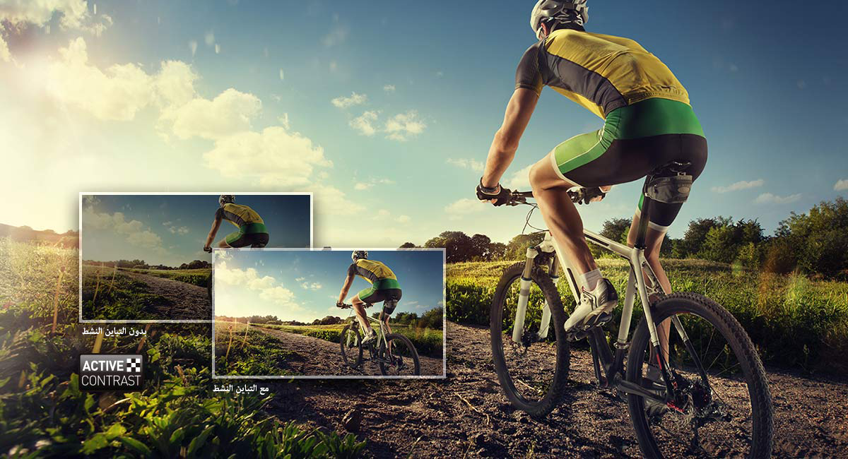 
التباين النشط
