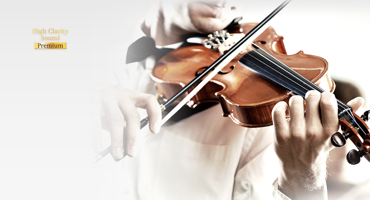 Reinster Klang für detailgetreue Wiedergabe
