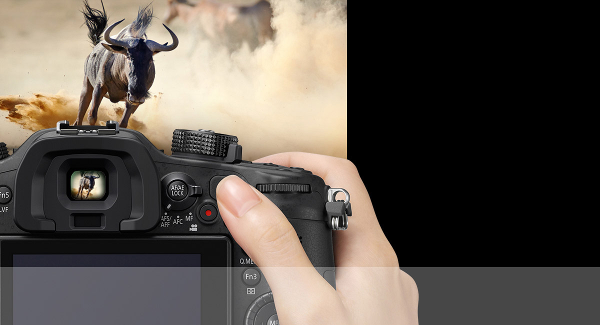 Deux écrans OLED - LVF et moniteur