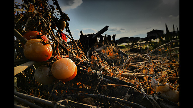 Bli inspirerad - DMC-CM1