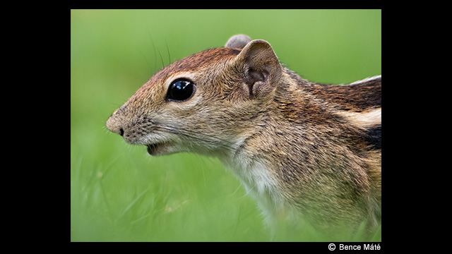 ¿Necesitas ideas? - Cámara digital LUMIX DMC-FZ330