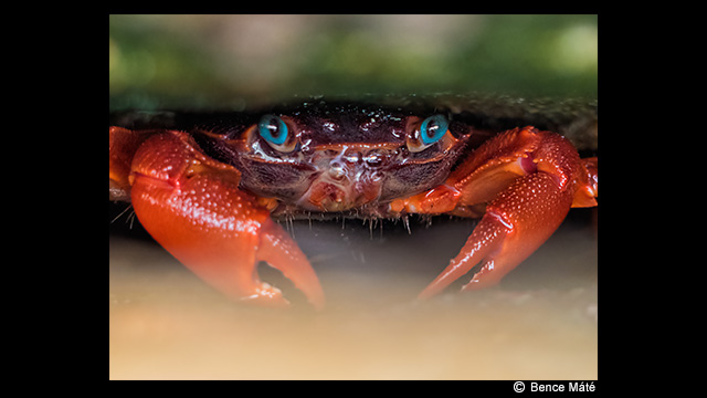 ¿Necesitas ideas? - Cámara digital LUMIX DMC-FZ330