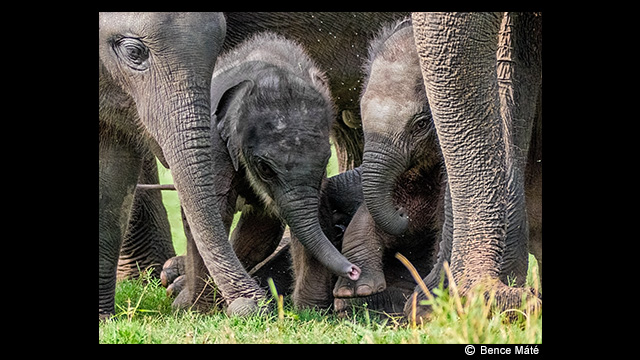 ¿Necesitas ideas? - Cámara digital LUMIX DMC-FZ330