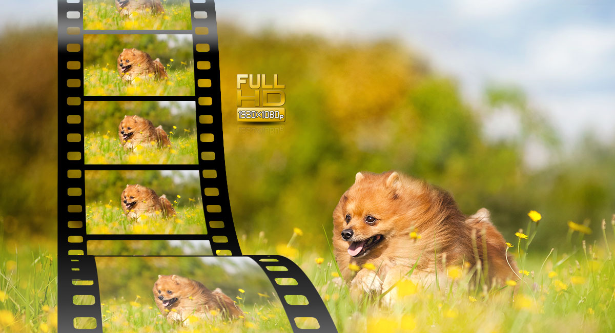 Full HD-video (1920 x 1080p) i AVCHD eller MP4