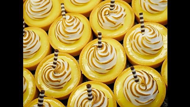 Dapatkan Inspirasi - LUMIX G Lens H-HS030