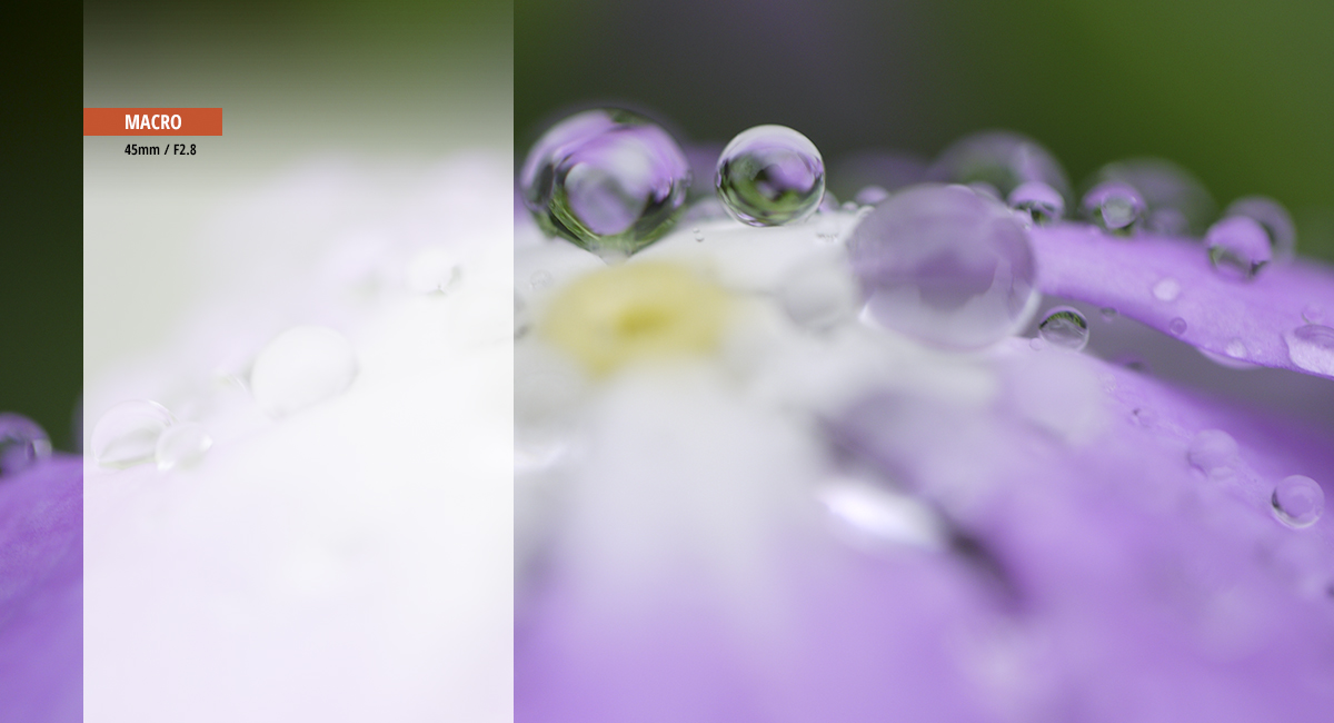 Plus qu'un simple objectif macro 