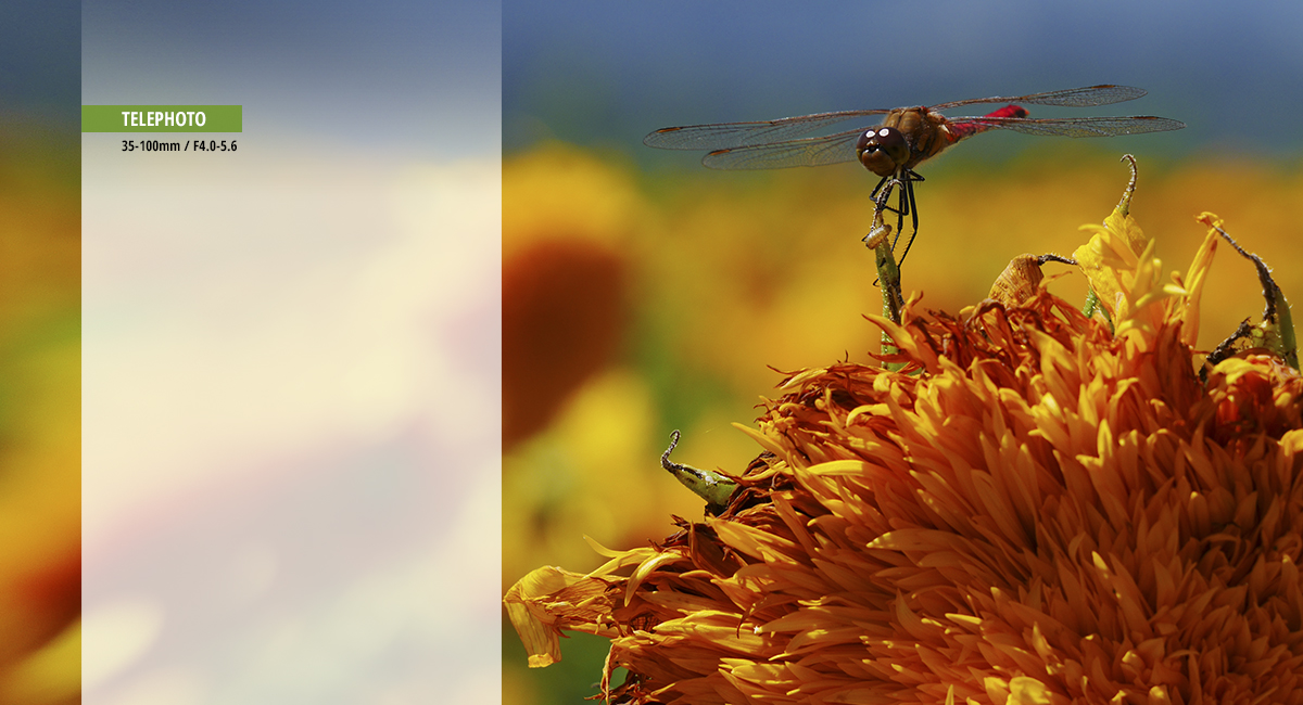 Pour une sc&egrave;ne de plus pr&egrave;s encore  