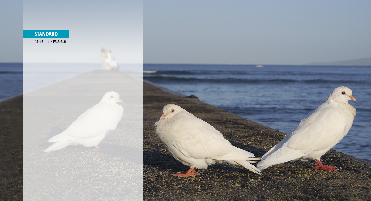  Smooth zoom, perfect for video 