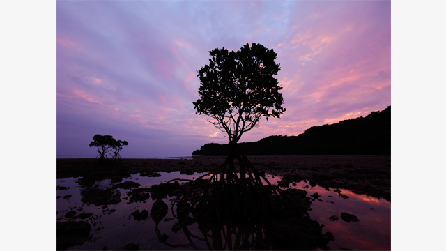 影音圖片集 - LUMIX G 鏡頭 H-F007014