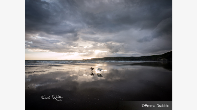 影音圖片集 - LUMIX G 鏡頭 H-F007014