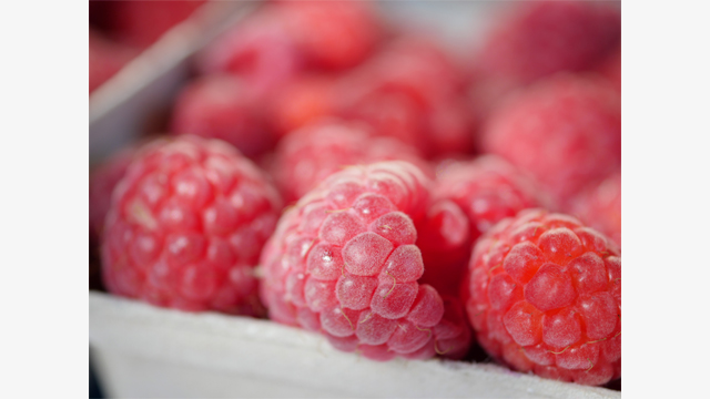 Get Inspired - LUMIX® G Lens H-HS030