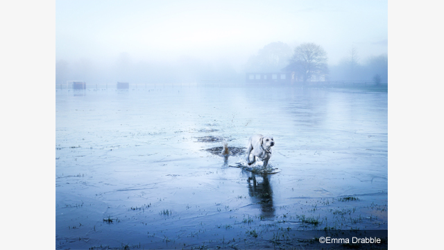 Get Inspired - LEICA DG Lens H-X025