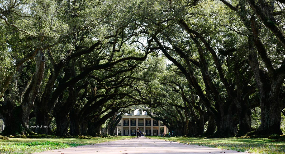 Pixel-perfect photos