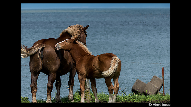 ¿Necesitas ideas? - Cámara digital LUMIX DMC-FZ2000