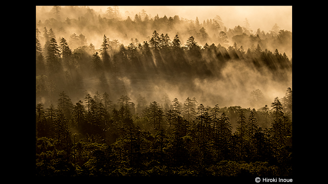 ¿Necesitas ideas? - Cámara digital LUMIX DMC-FZ2000