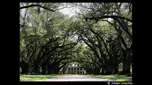 للاستلهام - الكاميرا الرقمية أحادية العدسة عديمة المرآة LUMIX® طراز DMC-GX85K