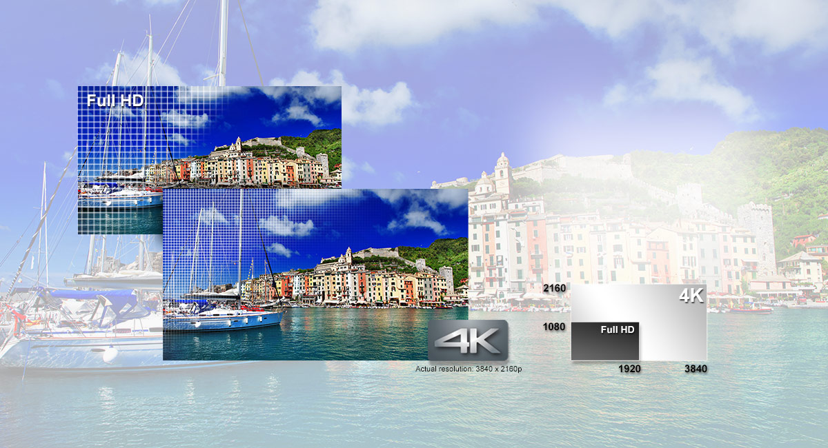 Vídeo en 4K. La vida llena de detalles intensos
