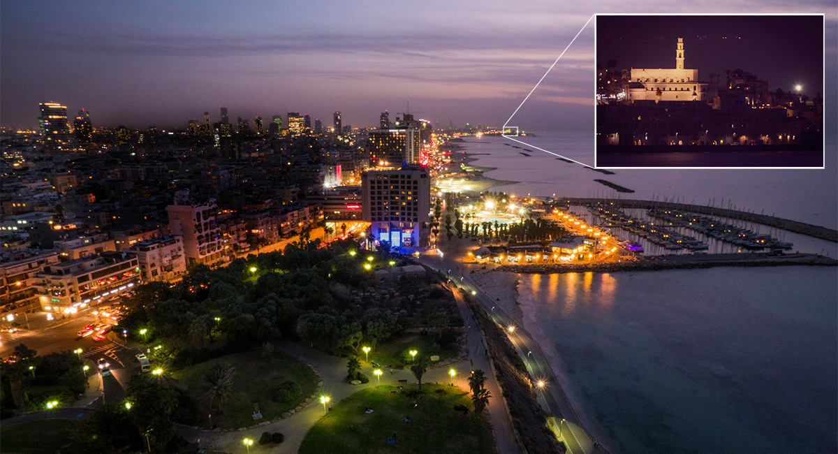 Foresight In Full Details