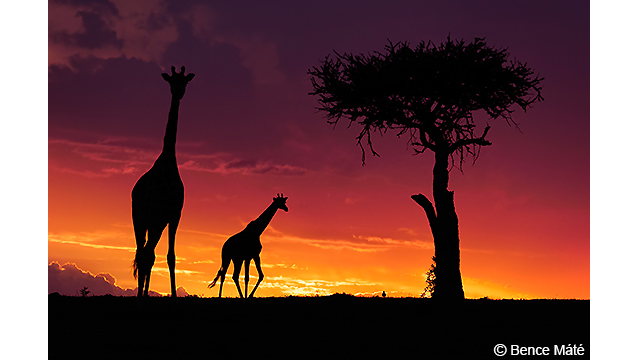 Soyez inspirés - Appareil photo hybride DC-G9