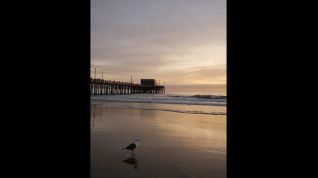 Get Inspired - LUMIX® Digital Single Lens Mirrorless Camera DC-GF9K