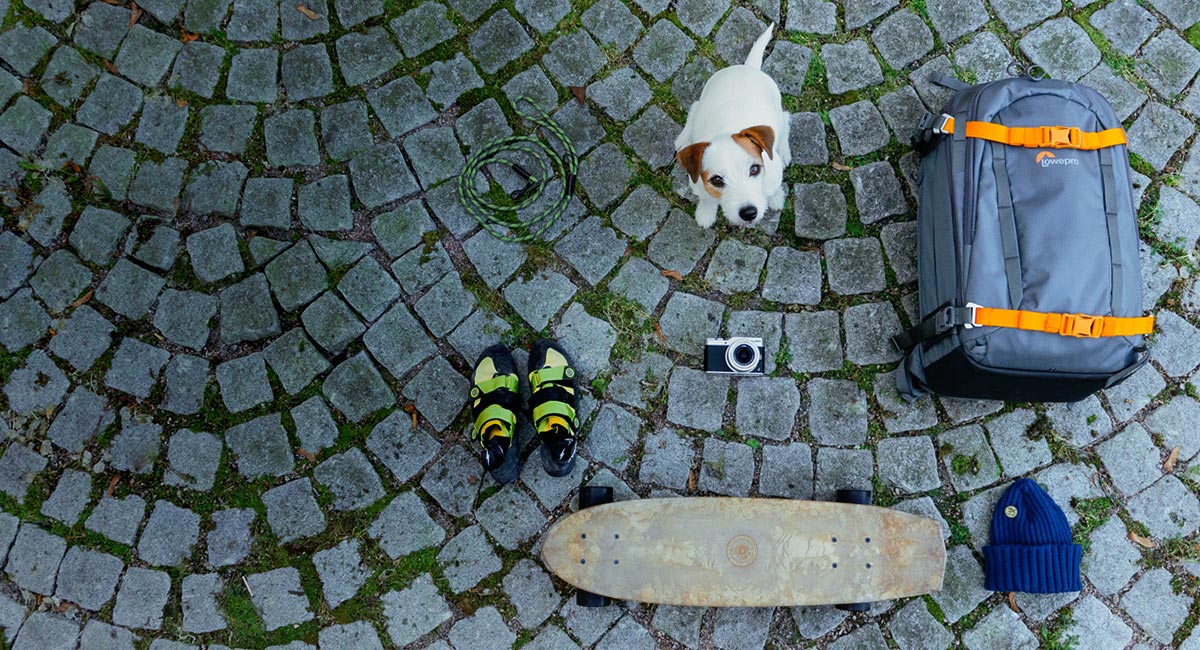 The one for the
travel blogger