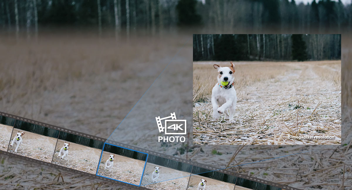 Shoot stunning 4K video at 30fps