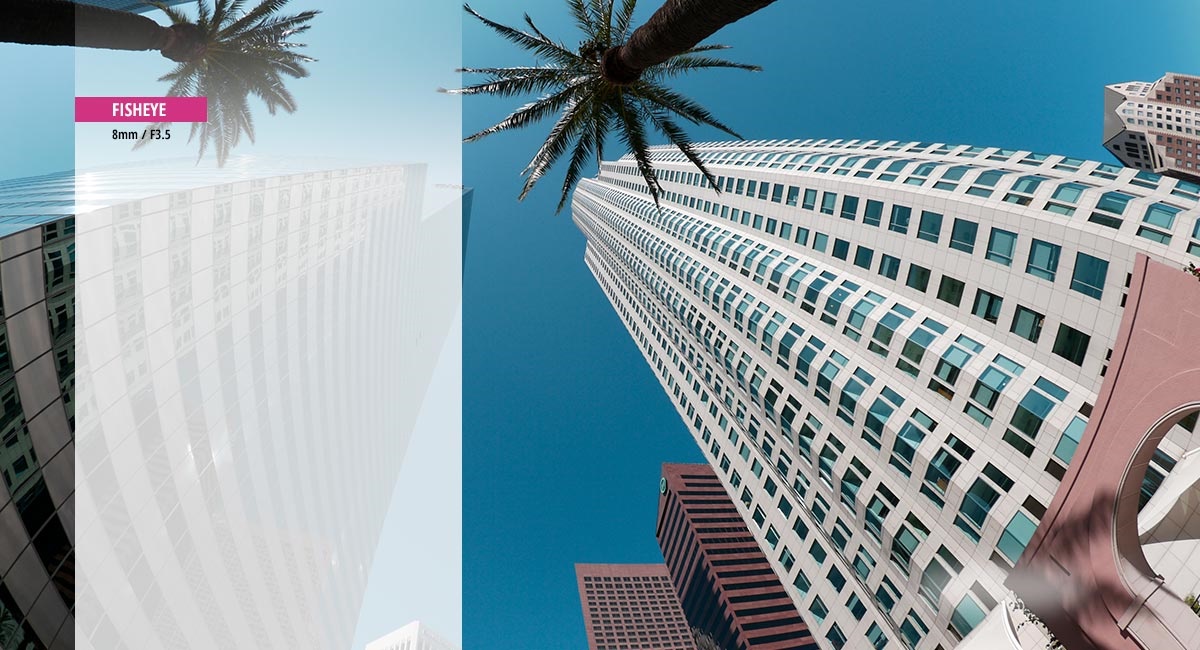 使用魚眼鏡頭呈現新視角 