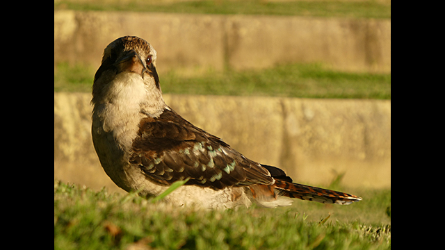 ¿Necesitas ideas? - Cámara digital LUMIX DC-TZ90