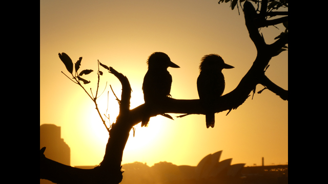 ¿Necesitas ideas? - Cámara digital LUMIX DC-TZ90