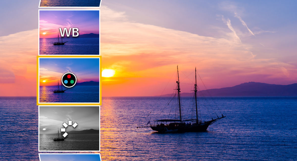 RAW Data Development in Camera