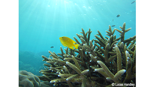 影音圖片集 - LUMIX 數位相機 DC-TS7