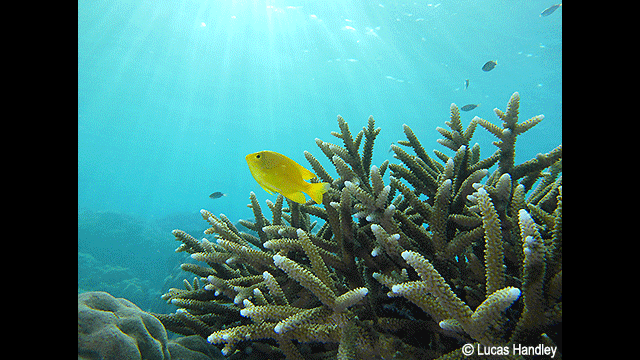 ¿Necesitas ideas? - Cámara digital LUMIX DC-FT7