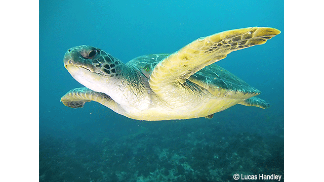 影音圖片集 - LUMIX 數位相機 DC-TS7