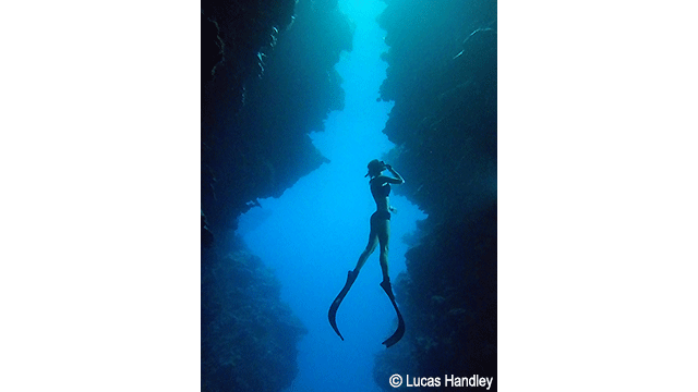 影音圖片集 - LUMIX 數位相機 DC-TS7